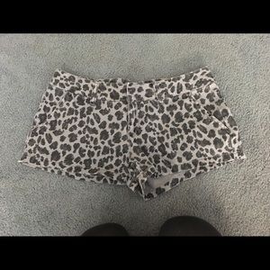 NWOT Animal print shorts